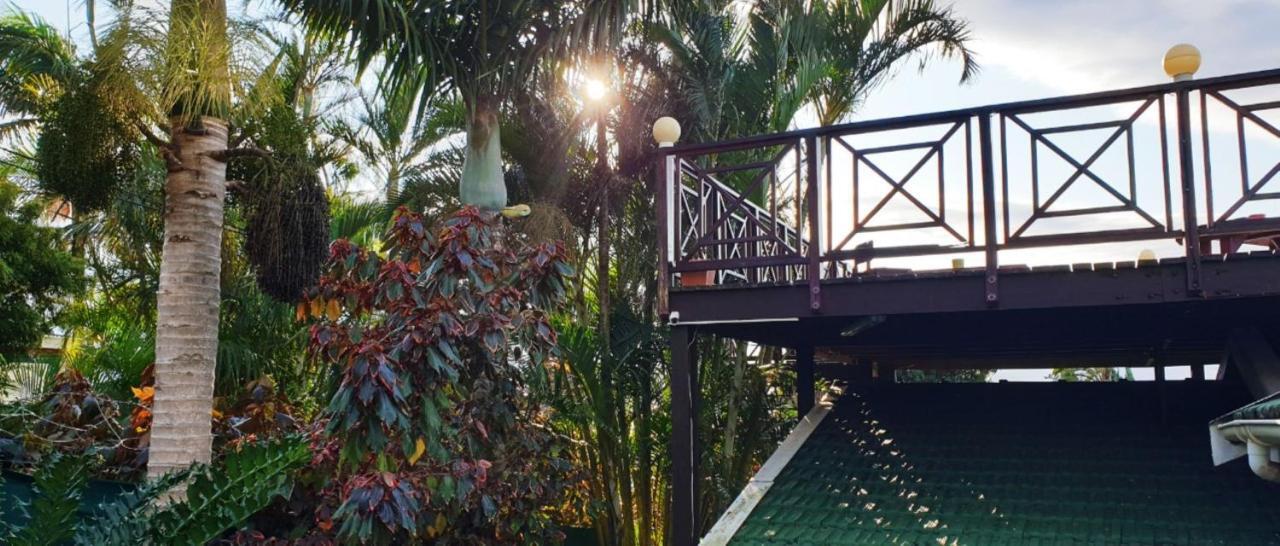 Shelly Beach Lodge المظهر الخارجي الصورة